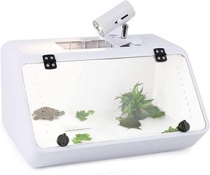 Leopard Gecko Habitat - Top Choices 2020 7 leopard gecko habitat see through transparent